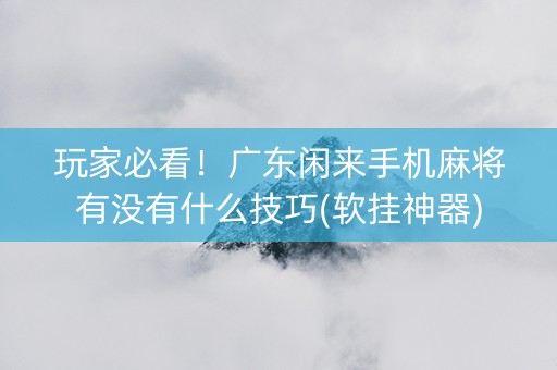 玩家必看！广东闲来手机麻将有没有什么技巧(软挂神器)