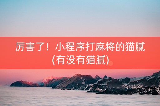 厉害了！小程序打麻将的猫腻(有没有猫腻)