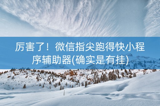 厉害了！微信指尖跑得快小程序辅助器(确实是有挂)