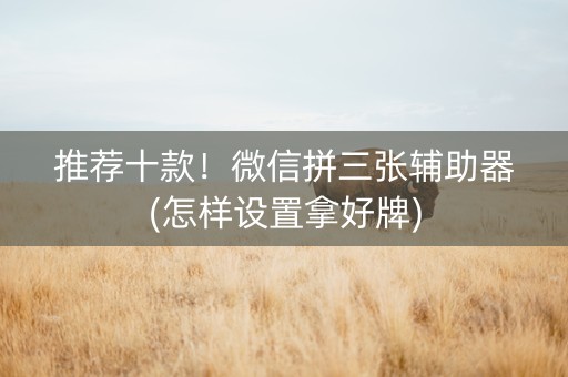 推荐十款！微信拼三张辅助器(怎样设置拿好牌)