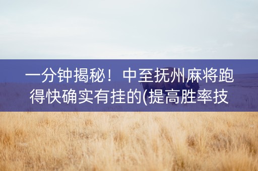 一分钟揭秘！中至抚州麻将跑得快确实有挂的(提高胜率技巧)