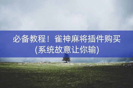 必备教程！雀神麻将插件购买(系统故意让你输)