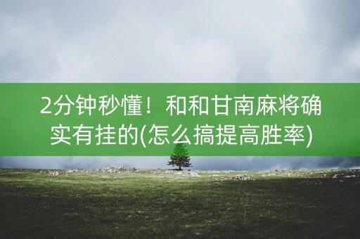 2分钟秒懂！和和甘南麻将确实有挂的(怎么搞提高胜率)