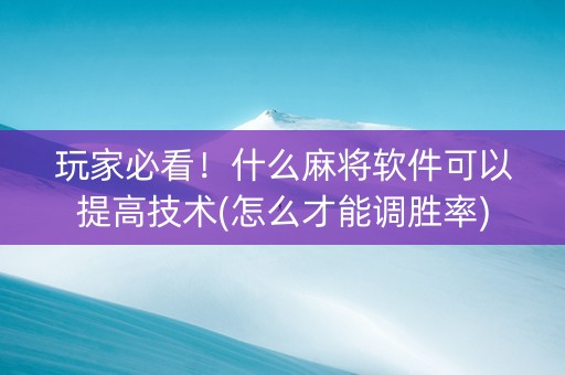玩家必看！什么麻将软件可以提高技术(怎么才能调胜率)