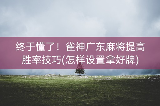 终于懂了！雀神广东麻将提高胜率技巧(怎样设置拿好牌)