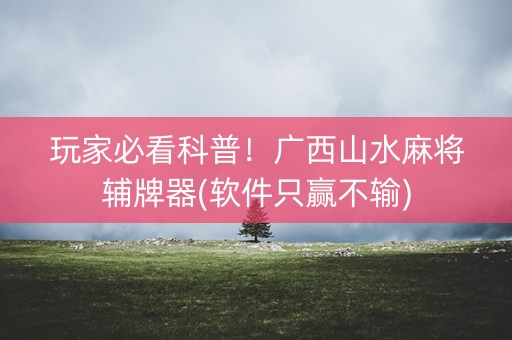 玩家必看科普！广西山水麻将辅牌器(软件只赢不输)