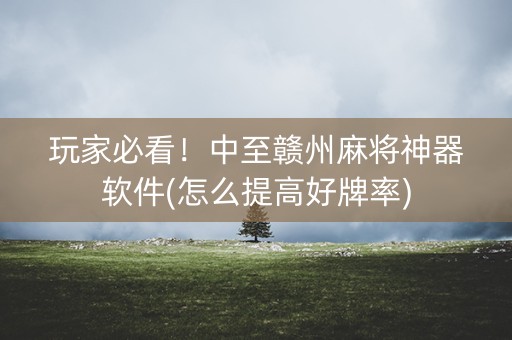 玩家必看！中至赣州麻将神器软件(怎么提高好牌率)