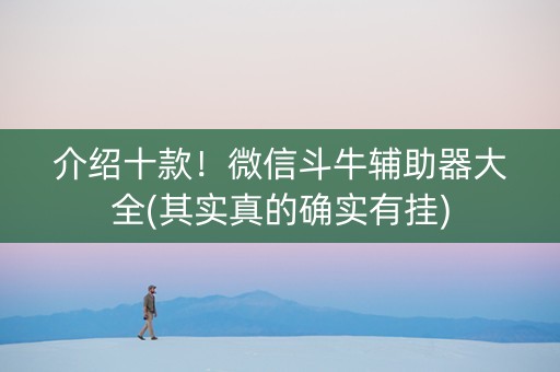 介绍十款！微信斗牛辅助器大全(其实真的确实有挂)