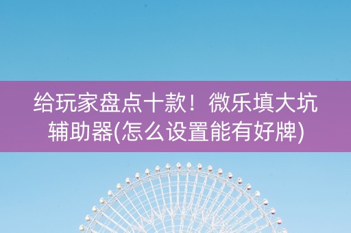 给玩家盘点十款！微乐填大坑辅助器(怎么设置能有好牌)