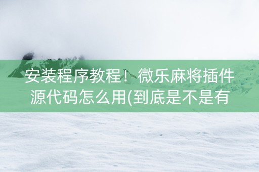 安装程序教程！微乐麻将插件源代码怎么用(到底是不是有挂)