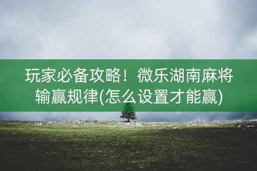 玩家必备攻略！微乐湖南麻将输赢规律(怎么设置才能赢)