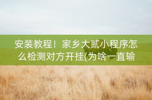 安装教程！家乡大贰小程序怎么检测对方开挂(为啥一直输)