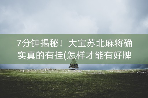 7分钟揭秘！大宝苏北麻将确实真的有挂(怎样才能有好牌)