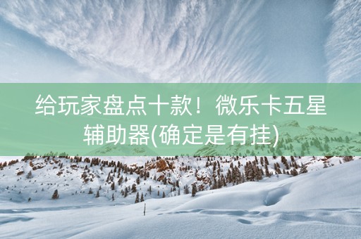 给玩家盘点十款！微乐卡五星辅助器(确定是有挂)