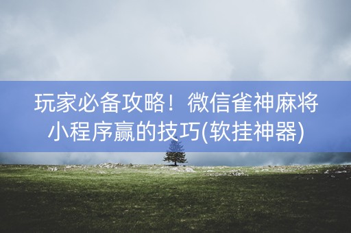 玩家必备攻略！微信雀神麻将小程序赢的技巧(软挂神器)