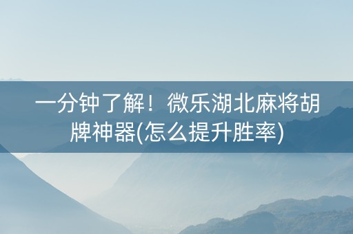 一分钟了解！微乐湖北麻将胡牌神器(怎么提升胜率)