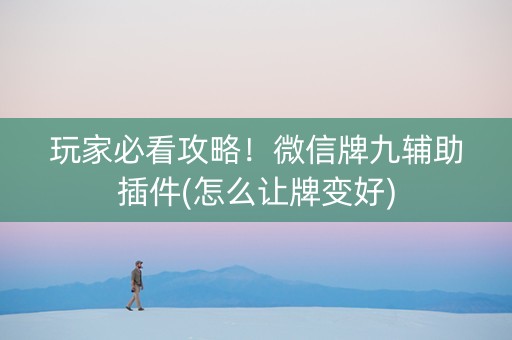 玩家必看攻略！微信牌九辅助插件(怎么让牌变好)