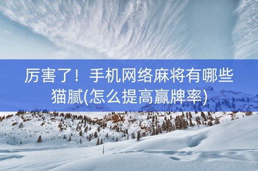 厉害了！手机网络麻将有哪些猫腻(怎么提高赢牌率)