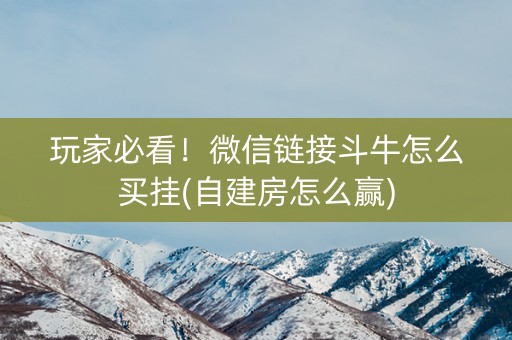 玩家必看！微信链接斗牛怎么买挂(自建房怎么赢)