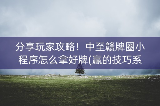 分享玩家攻略！中至赣牌圈小程序怎么拿好牌(赢的技巧系统规律)