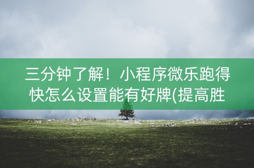 三分钟了解！小程序微乐跑得快怎么设置能有好牌(提高胜率办法)