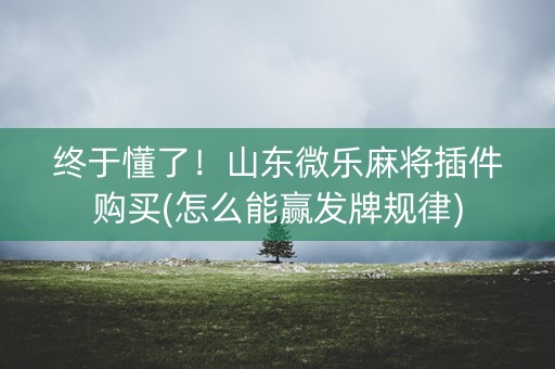终于懂了！山东微乐麻将插件购买(怎么能赢发牌规律)