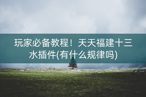 玩家必备教程！天天福建十三水插件(有什么规律吗)