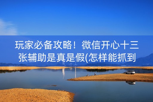 玩家必备攻略！微信开心十三张辅助是真是假(怎样能抓到好牌)