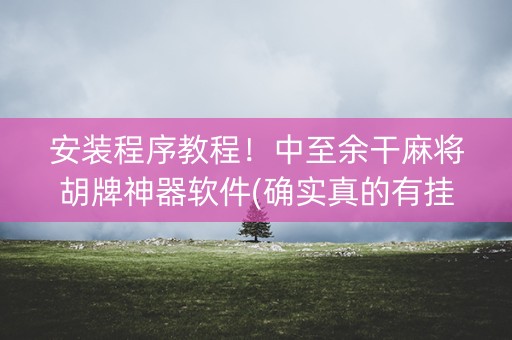 安装程序教程！中至余干麻将胡牌神器软件(确实真的有挂)