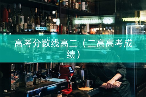 高考分数线高二（二高高考成绩）