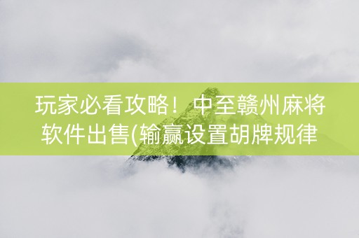 玩家必看攻略！中至赣州麻将软件出售(输赢设置胡牌规律)