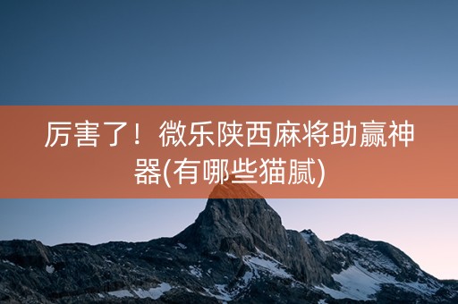 厉害了！微乐陕西麻将助赢神器(有哪些猫腻)