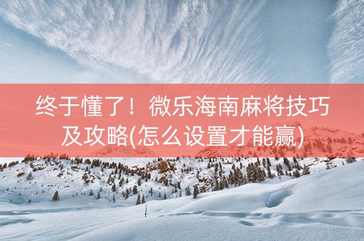 终于懂了！微乐海南麻将技巧及攻略(怎么设置才能赢)