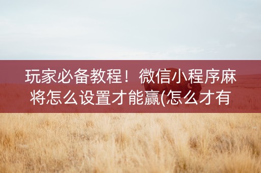 玩家必备教程！微信小程序麻将怎么设置才能赢(怎么才有赢的几率)