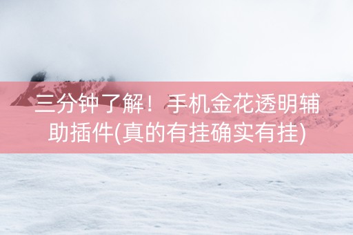 三分钟了解！手机金花透明辅助插件(真的有挂确实有挂)