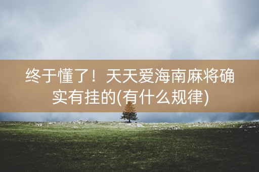 终于懂了！天天爱海南麻将确实有挂的(有什么规律)