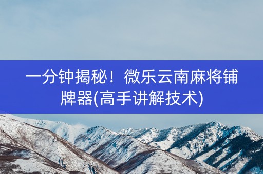 一分钟揭秘！微乐云南麻将铺牌器(高手讲解技术)
