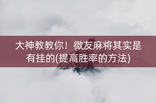 大神教教你！微友麻将其实是有挂的(提高胜率的方法)