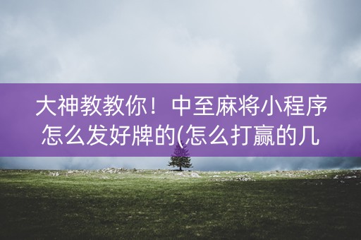 大神教教你！中至麻将小程序怎么发好牌的(怎么打赢的几率大)