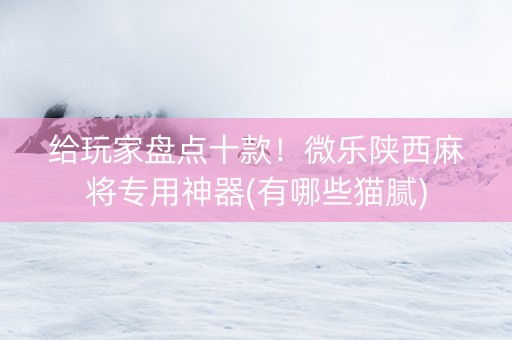 给玩家盘点十款！微乐陕西麻将专用神器(有哪些猫腻)
