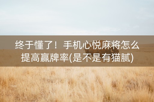 终于懂了！手机心悦麻将怎么提高赢牌率(是不是有猫腻)