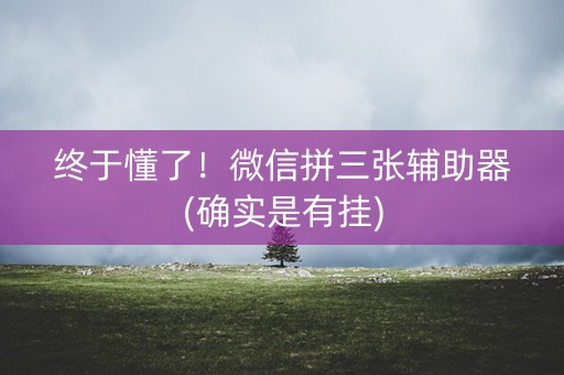 终于懂了！微信拼三张辅助器(确实是有挂)