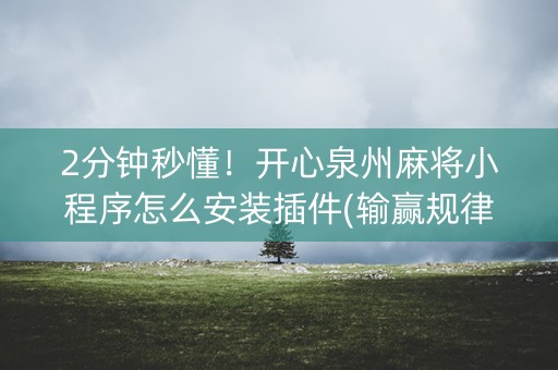 2分钟秒懂！开心泉州麻将小程序怎么安装插件(输赢规律技巧)