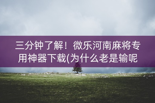 三分钟了解！微乐河南麻将专用神器下载(为什么老是输呢)