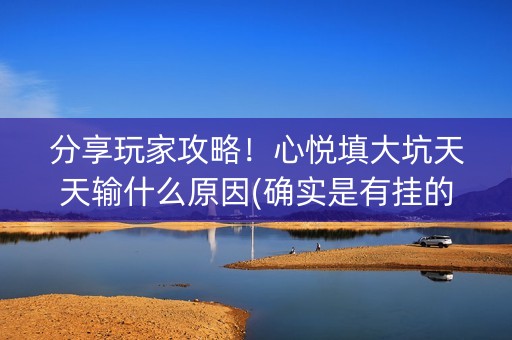 分享玩家攻略！心悦填大坑天天输什么原因(确实是有挂的)