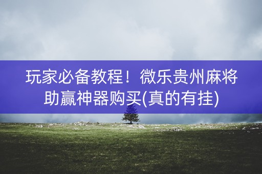 玩家必备教程！微乐贵州麻将助赢神器购买(真的有挂)