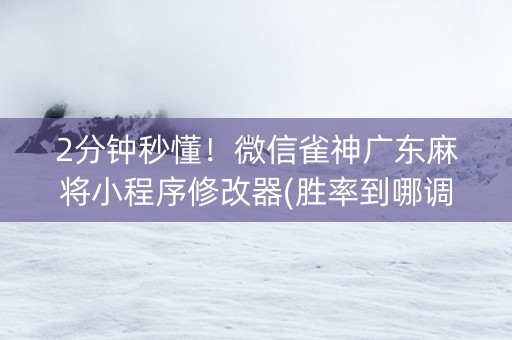 2分钟秒懂！微信雀神广东麻将小程序修改器(胜率到哪调)