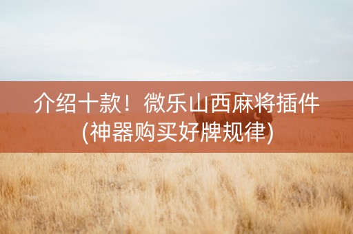 介绍十款！微乐山西麻将插件(神器购买好牌规律)