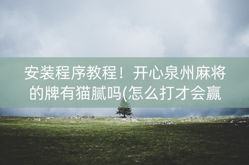 安装程序教程！开心泉州麻将的牌有猫腻吗(怎么打才会赢)