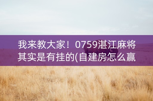 我来教大家！0759湛江麻将其实是有挂的(自建房怎么赢)